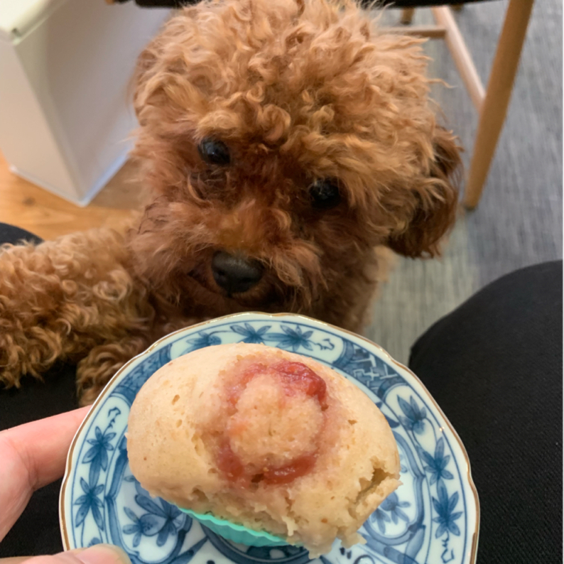 ホットケーキミックスで作る お手軽いちごジャム蒸しパンのレシピ動画 作り方 Delish Kitchen