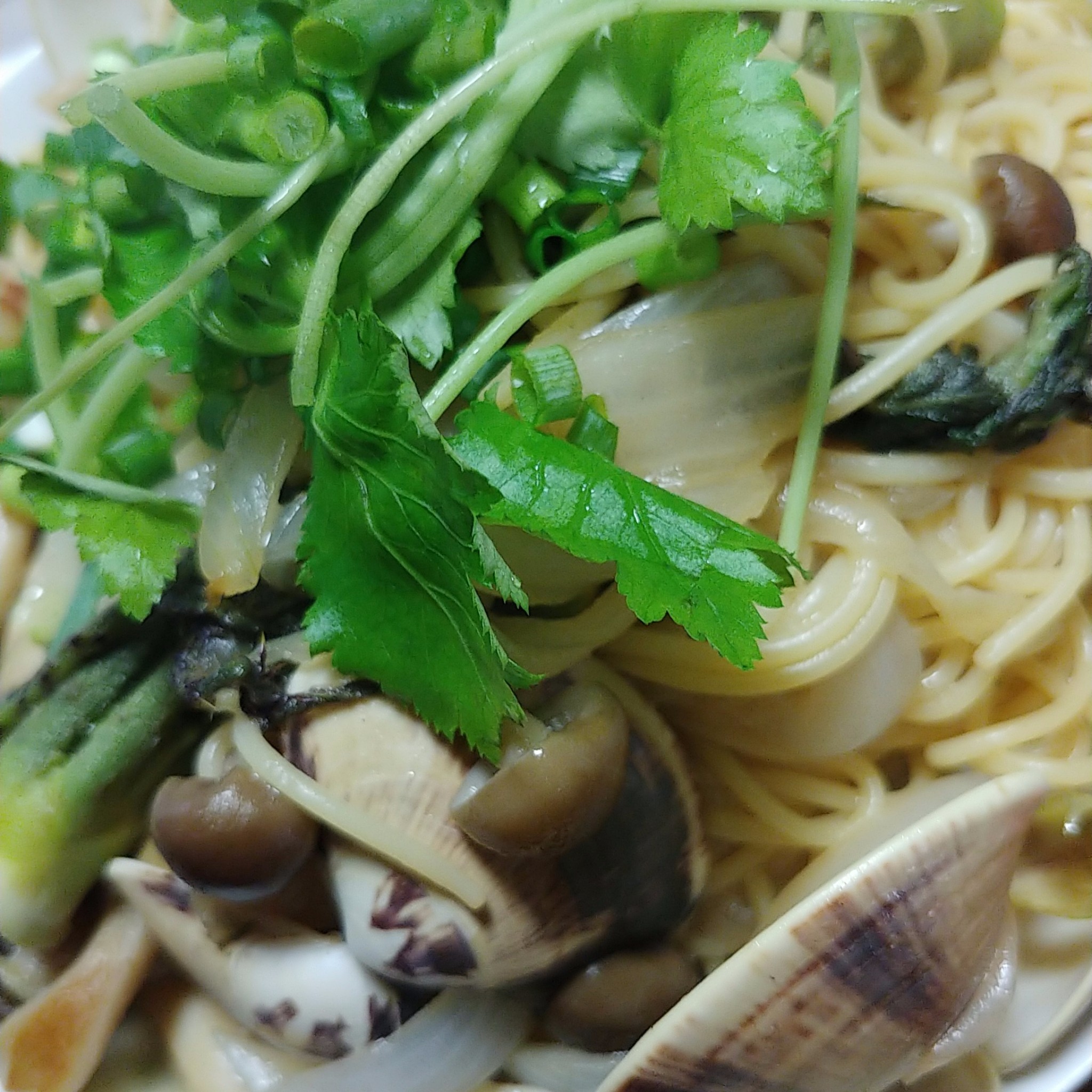 ハマグリ の パスタ