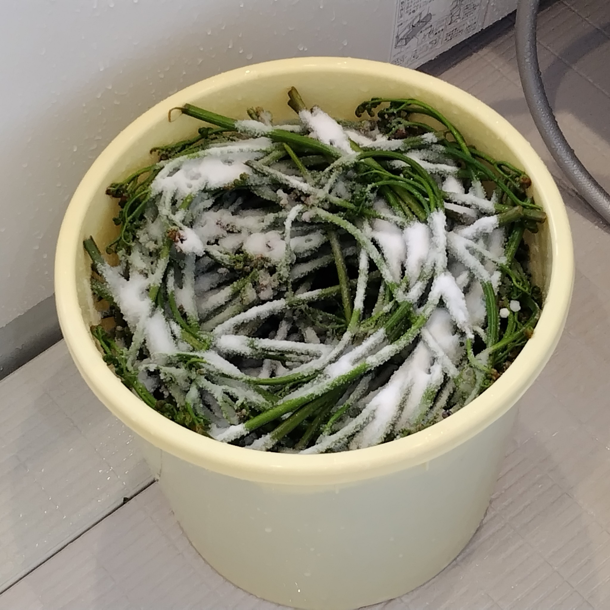 わらび の 保存 方法